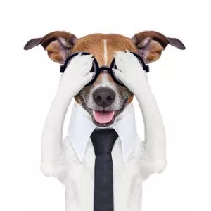 escondiendo cubriendo perro loco