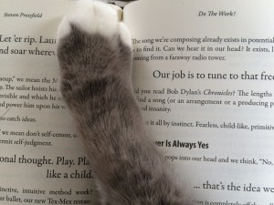 与史蒂文·普雷斯菲尔德的猫谈话