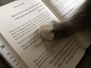 与史蒂文·普雷斯菲尔德的猫谈话