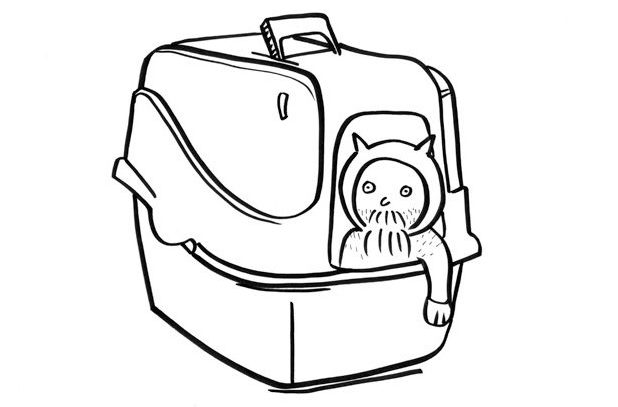 homme-dans-chat-porteur