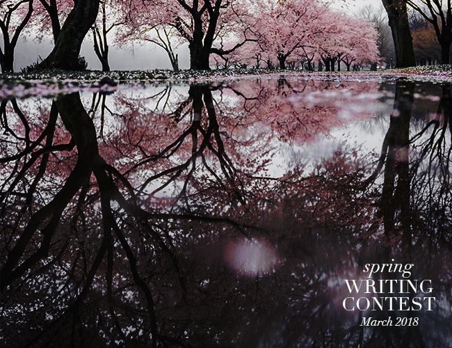 Concurso de escritura de primavera de 2018