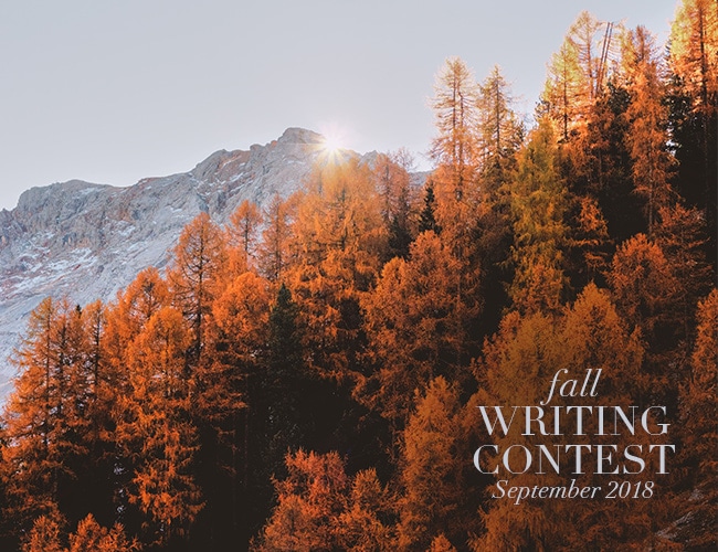 Lomba Menulis Musim Panas 2020