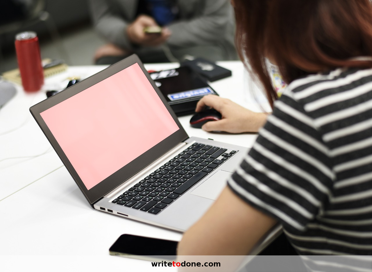 profesyonel professional