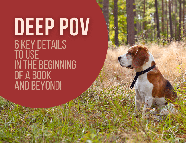 Punto de vista profundo