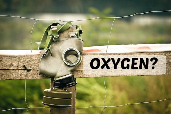 วิธีการฝันถึงสินค้า