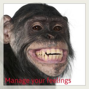 como seguir escribiendo