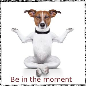 como seguir escribiendo