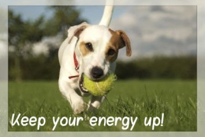 como seguir escribiendo