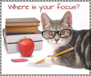 como seguir escribiendo