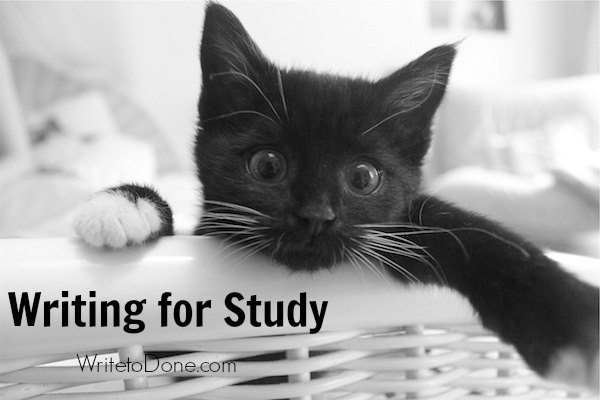 寫作技巧 為學習而寫作