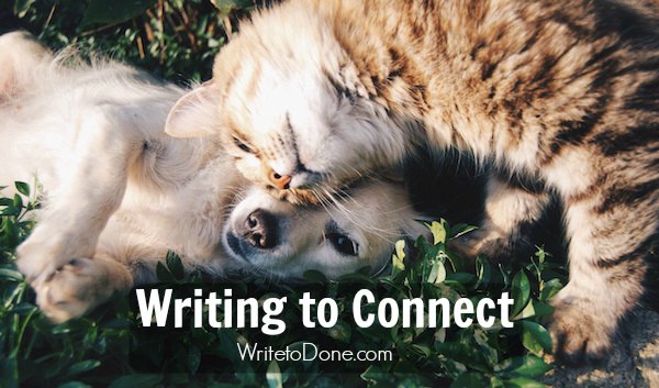 寫作技巧寫作連接