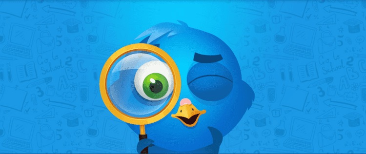 verificador edubirdie