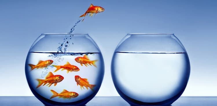 libertad de autoedición