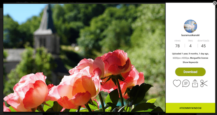 unduhan morguefile morguefile download