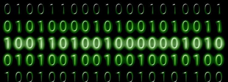 모니터링 monitored