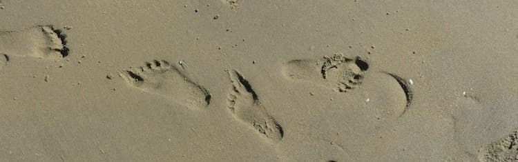 jejak kaki footprints