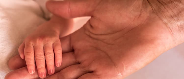 generasi generations