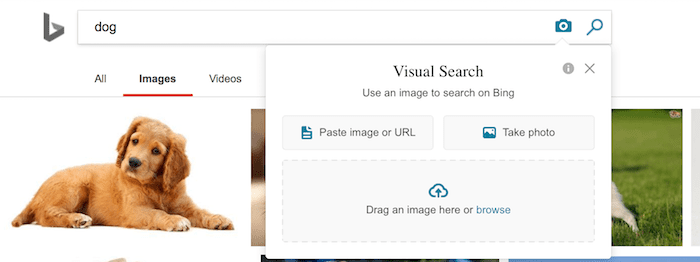 必应反向图像 bing reverse image