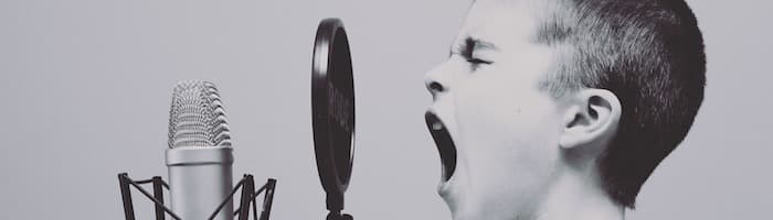 yazarların sesi writers voice