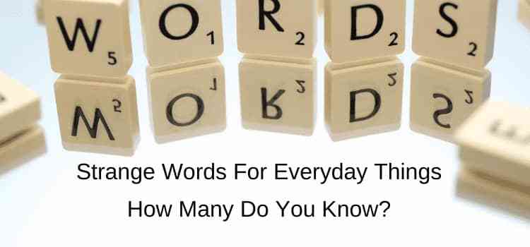 nombres extraños para cosas - palabras extrañas para objetos comunes weird names for things - strange words for common objects