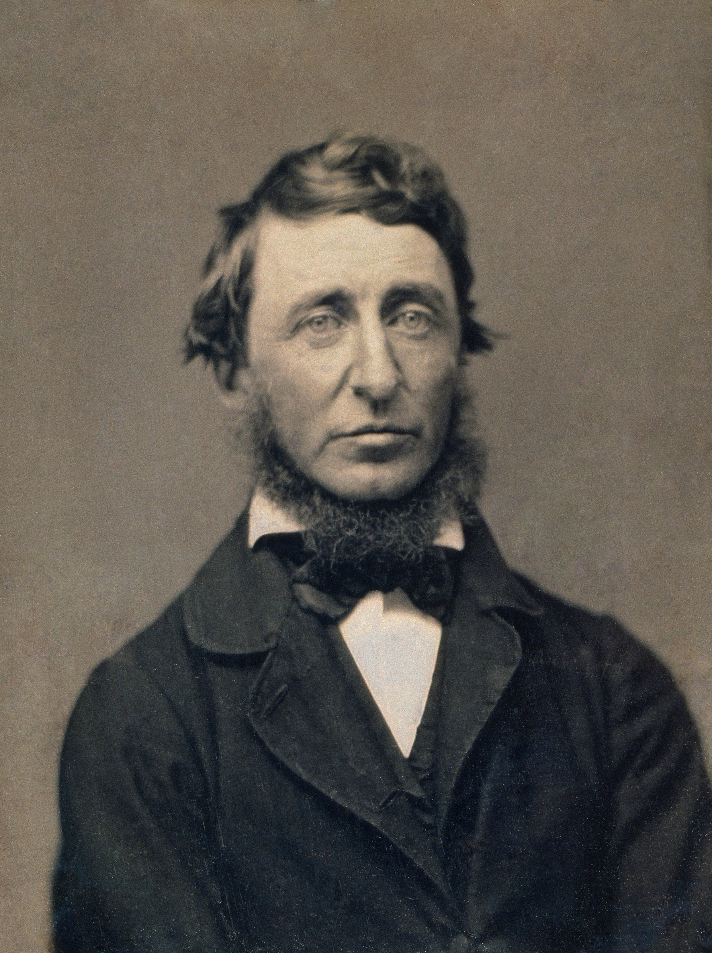Poesie sull'amicizia: "Conoscevo un uomo di vista" di Henry David Thoreau