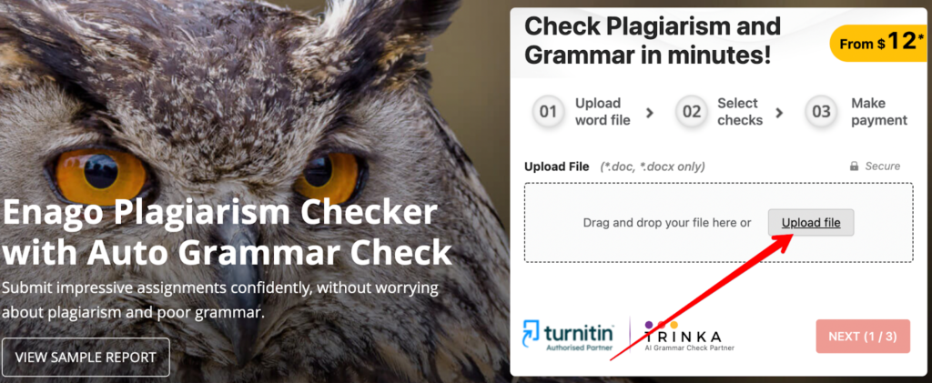 Enago İntihal Denetleyicisi İncelemesi
