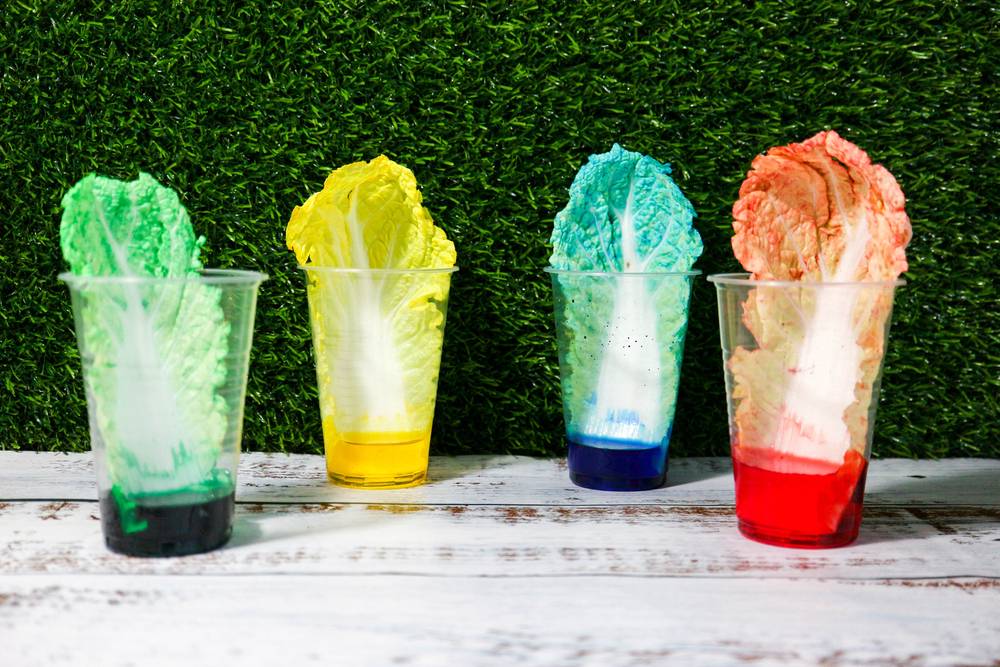 Eksperimen kimia sederhana