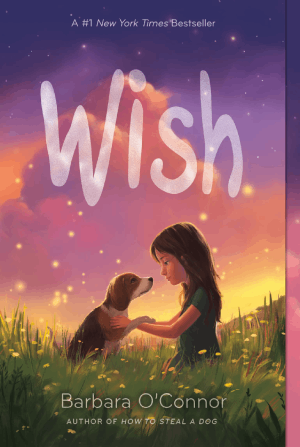 Wish, de Barbara O'Connor