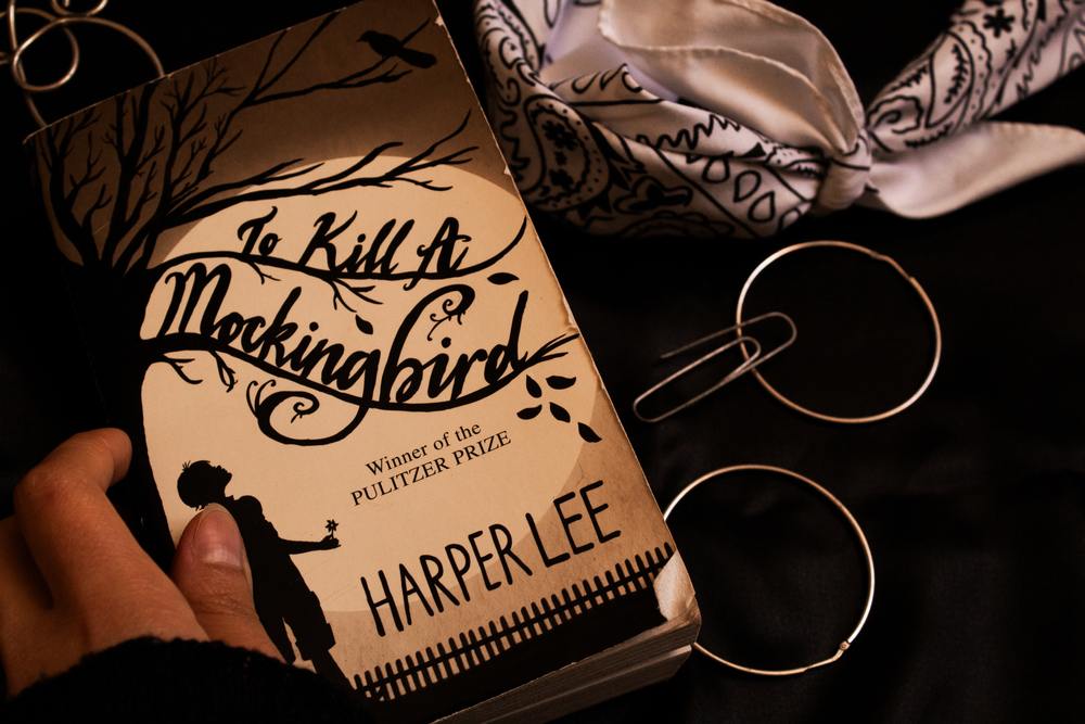 Uccidere il buio oltre la siepe di Harper Lee