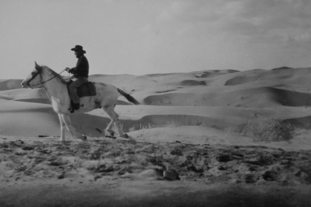 ヴィンテージ、黒と白。砂漠で馬に乗ったカウボーイ