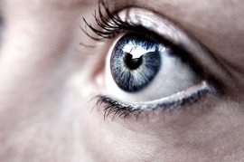 cultivate creativity